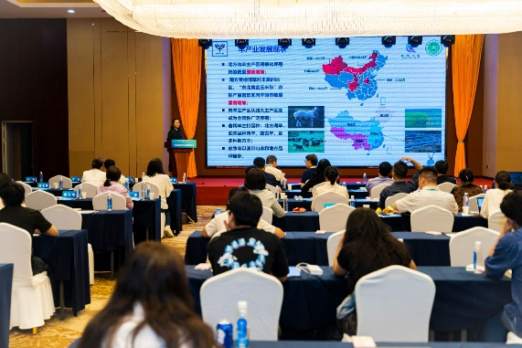 �齫������