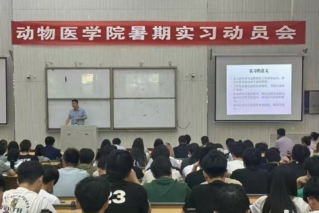 �齫������