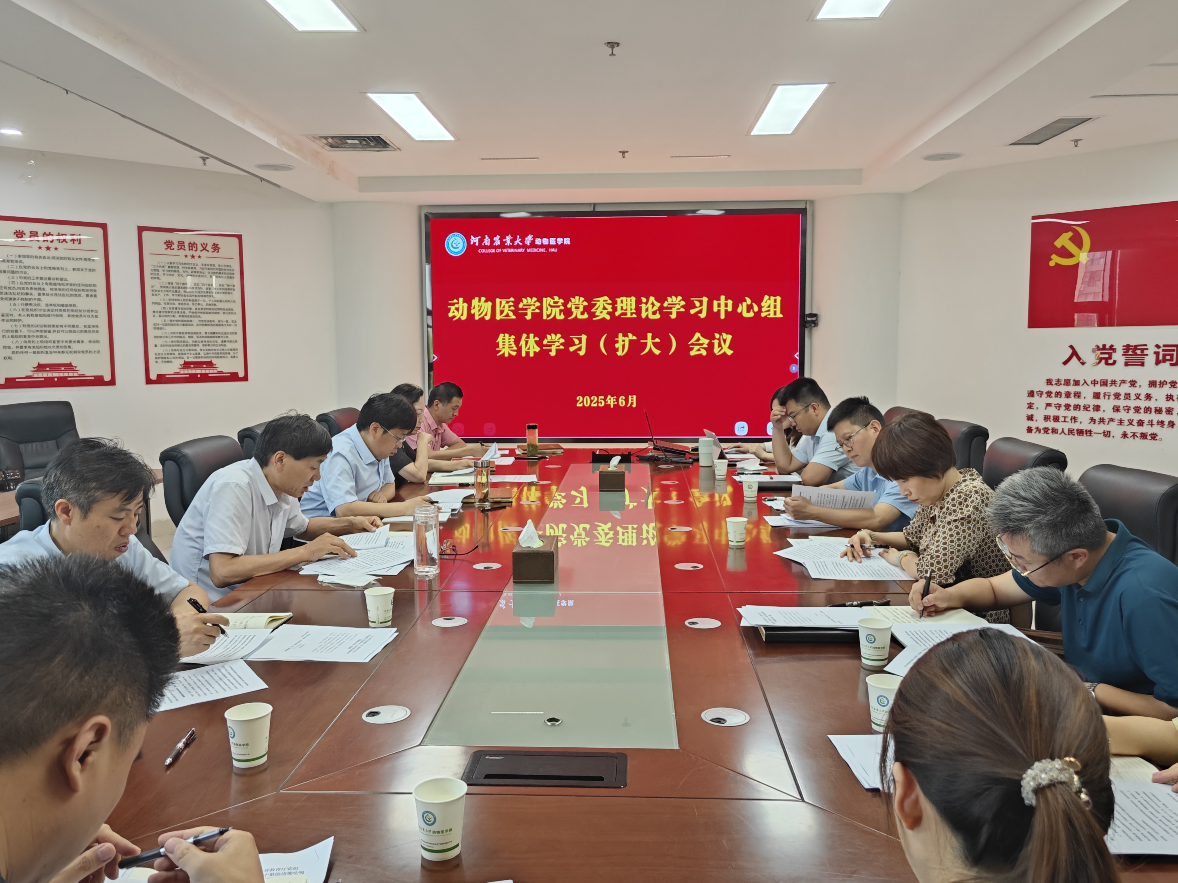 �齫������