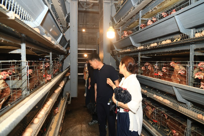 �齫������