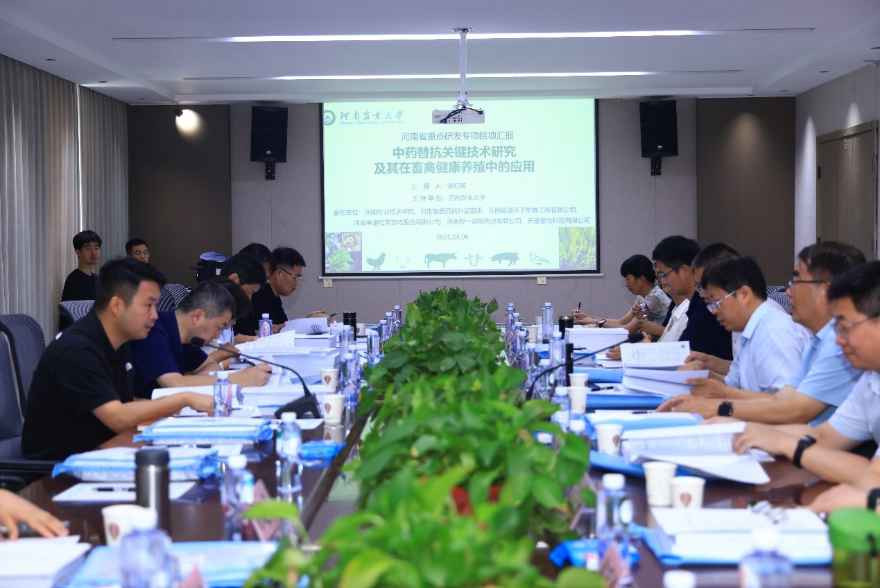 �齫������