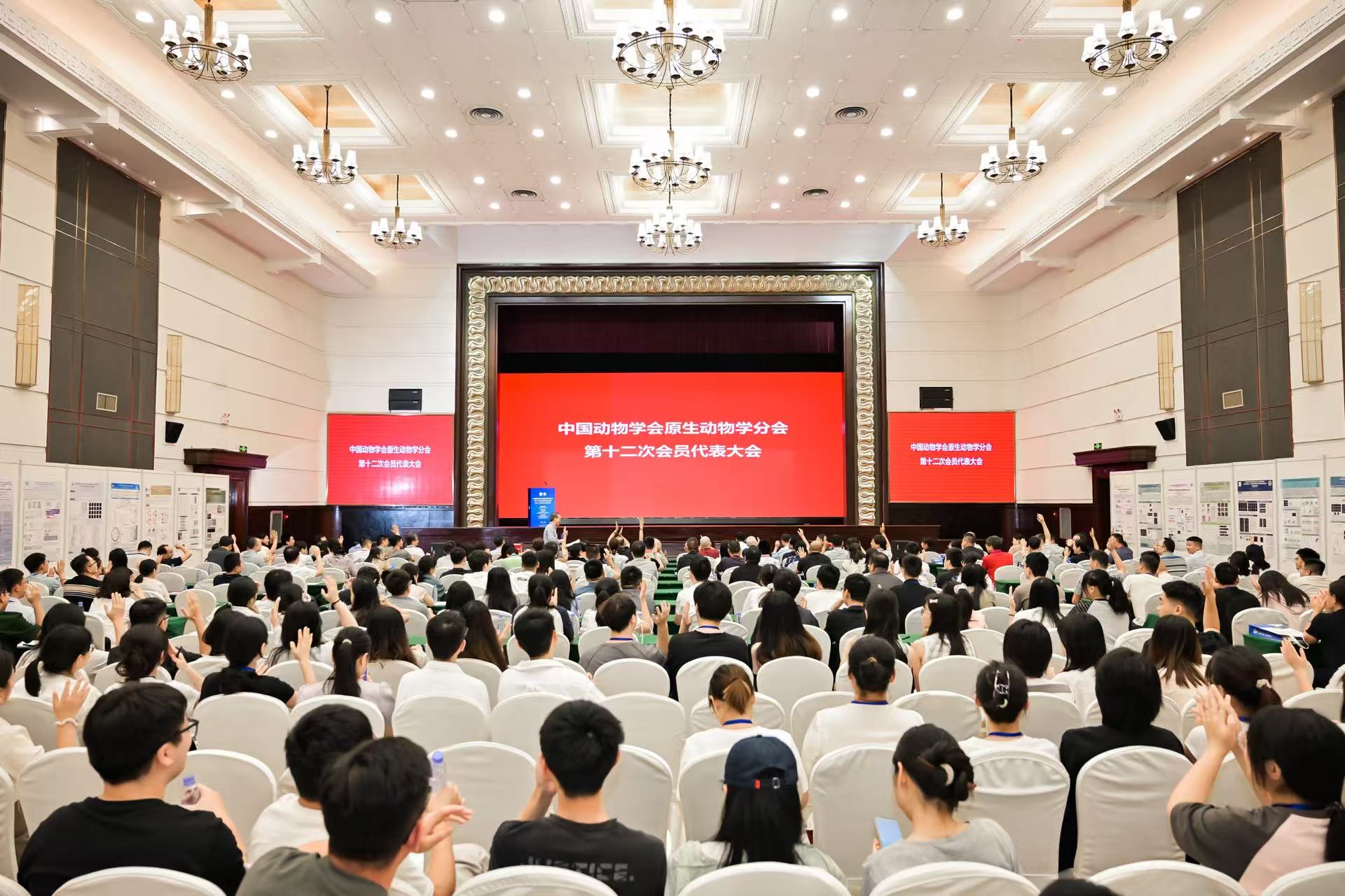 �齫������