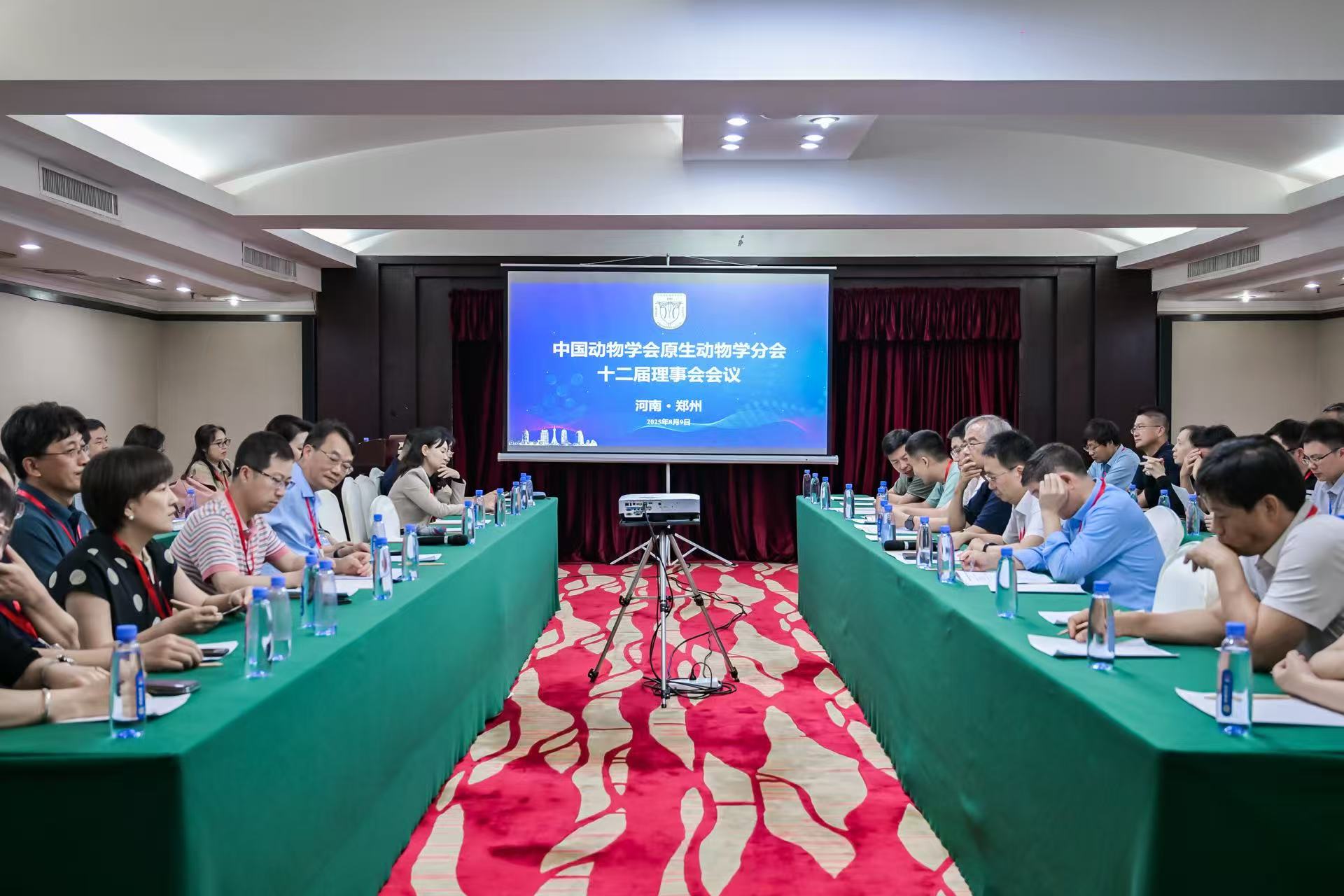 �齫������