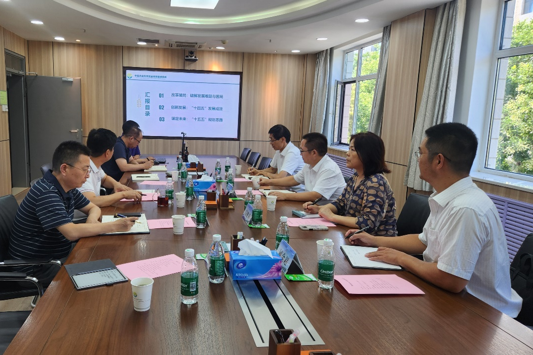 �齫������