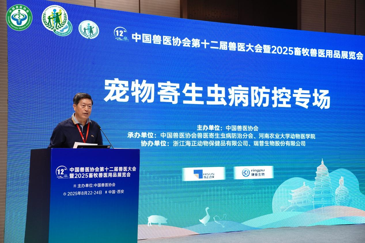 �齫������