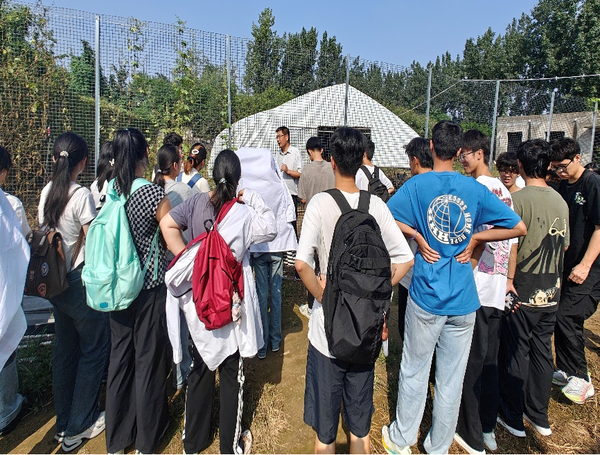 �齫������