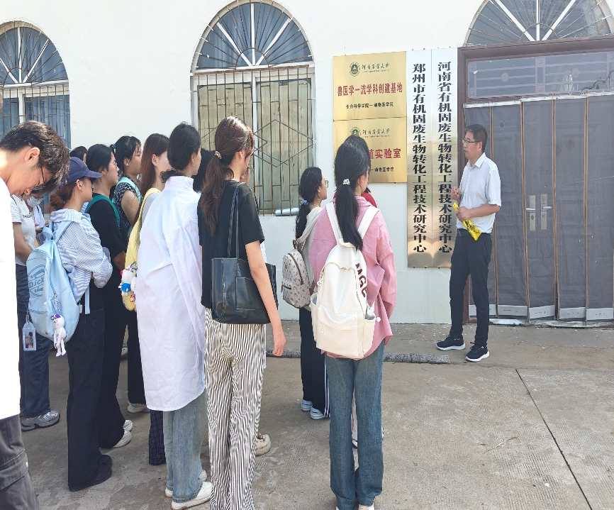 �齫������