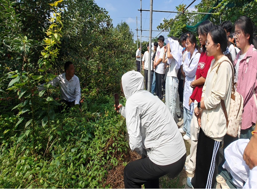 �齫������