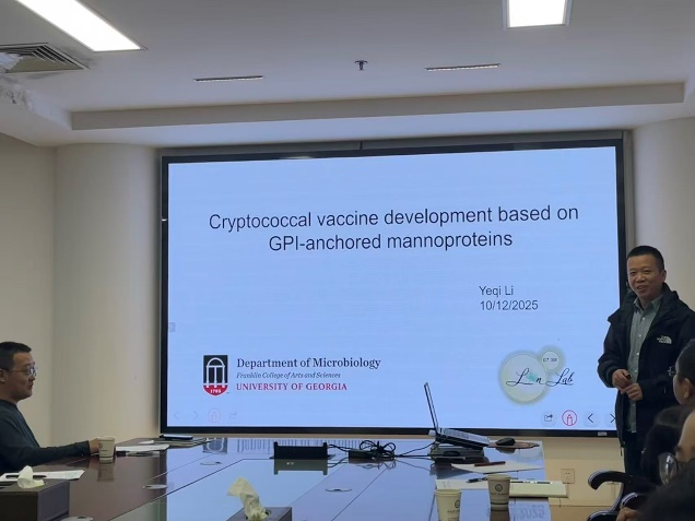 �齫������