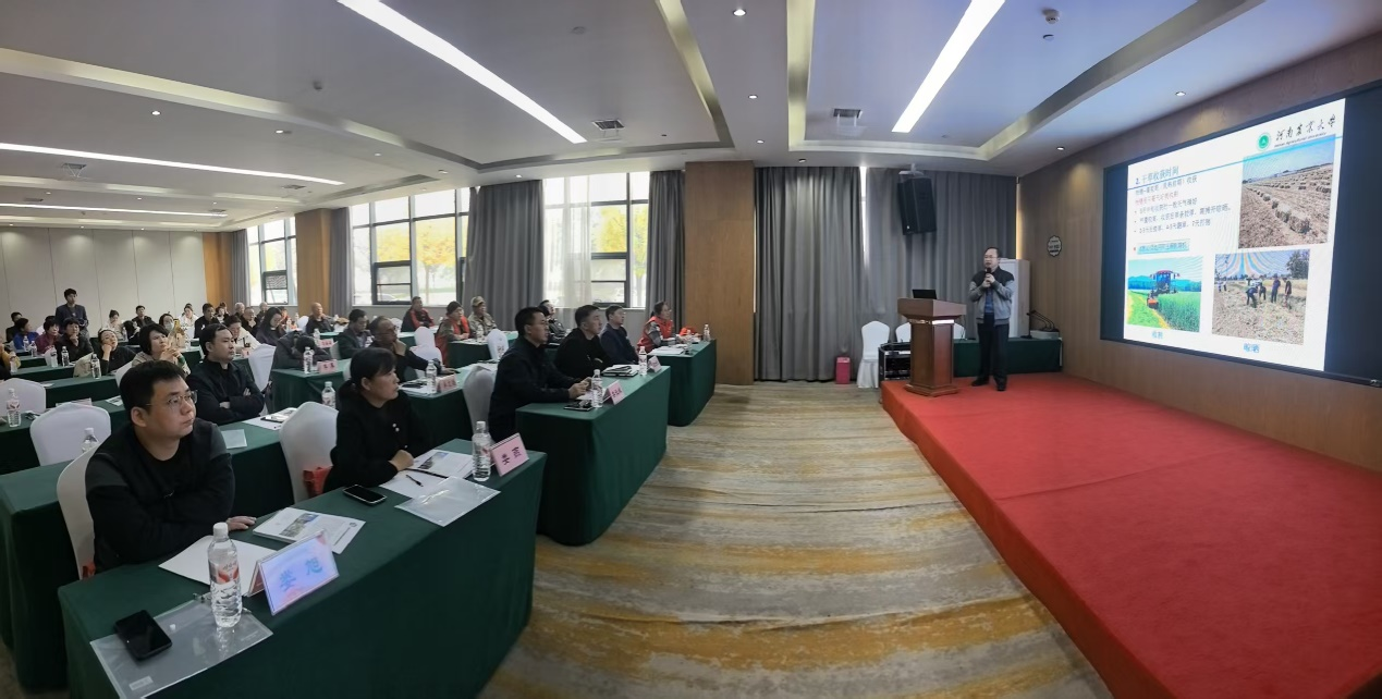 �齫������