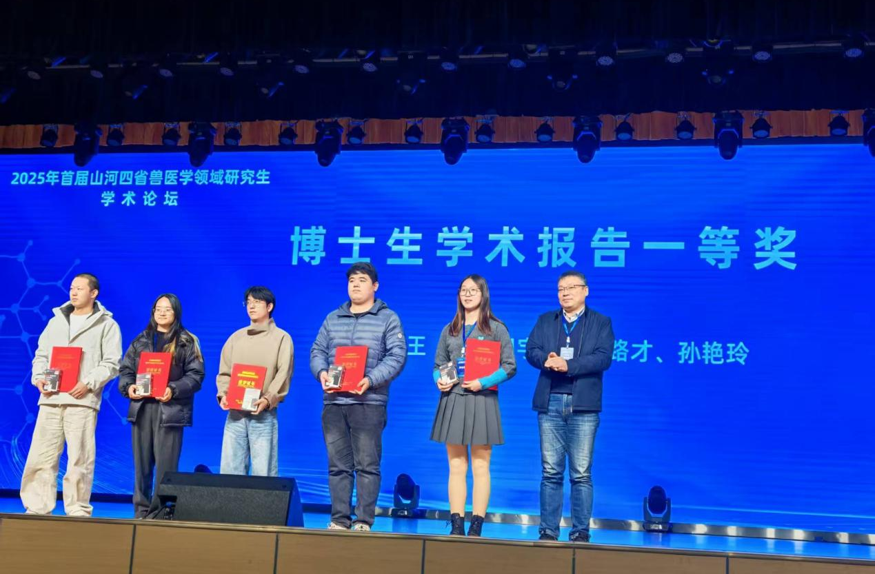 �齫������