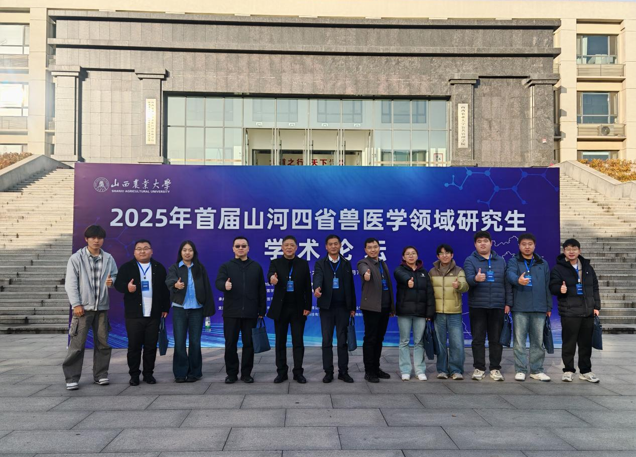 �齫������