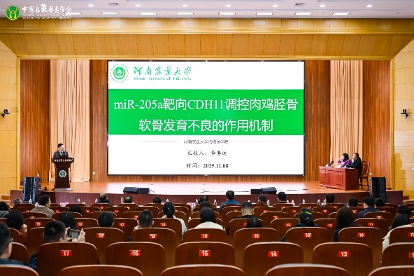 �齫������