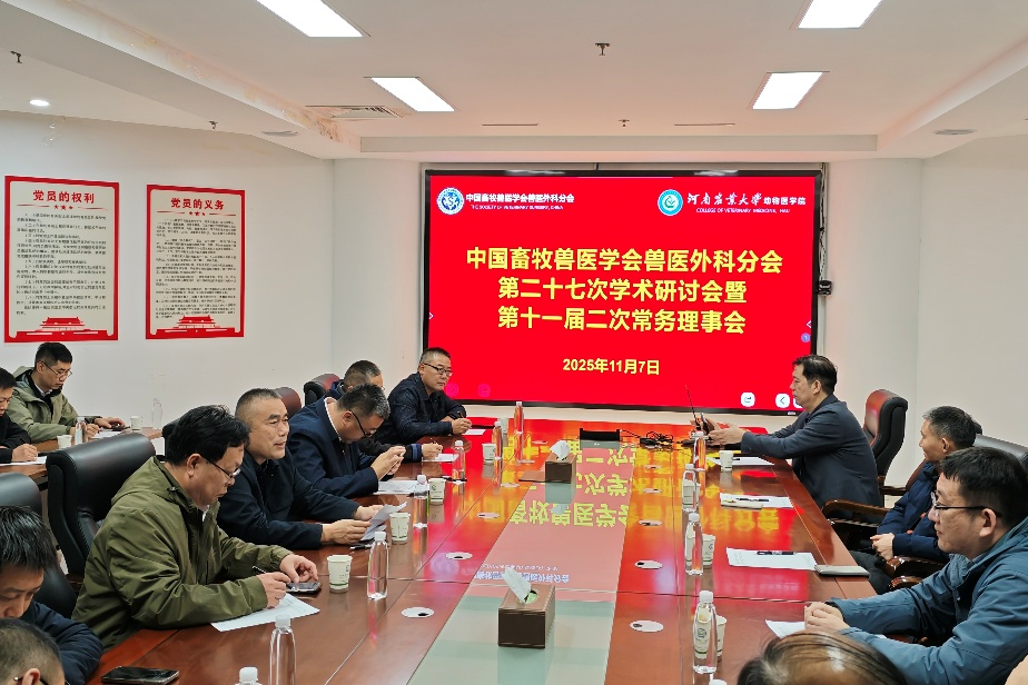 �齫������