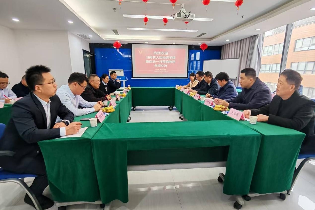 �齫������