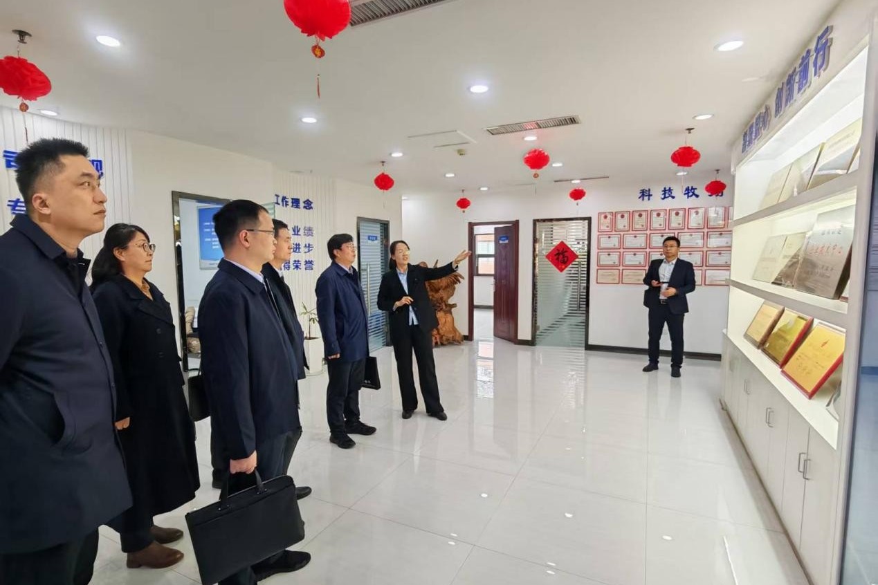 �齫������