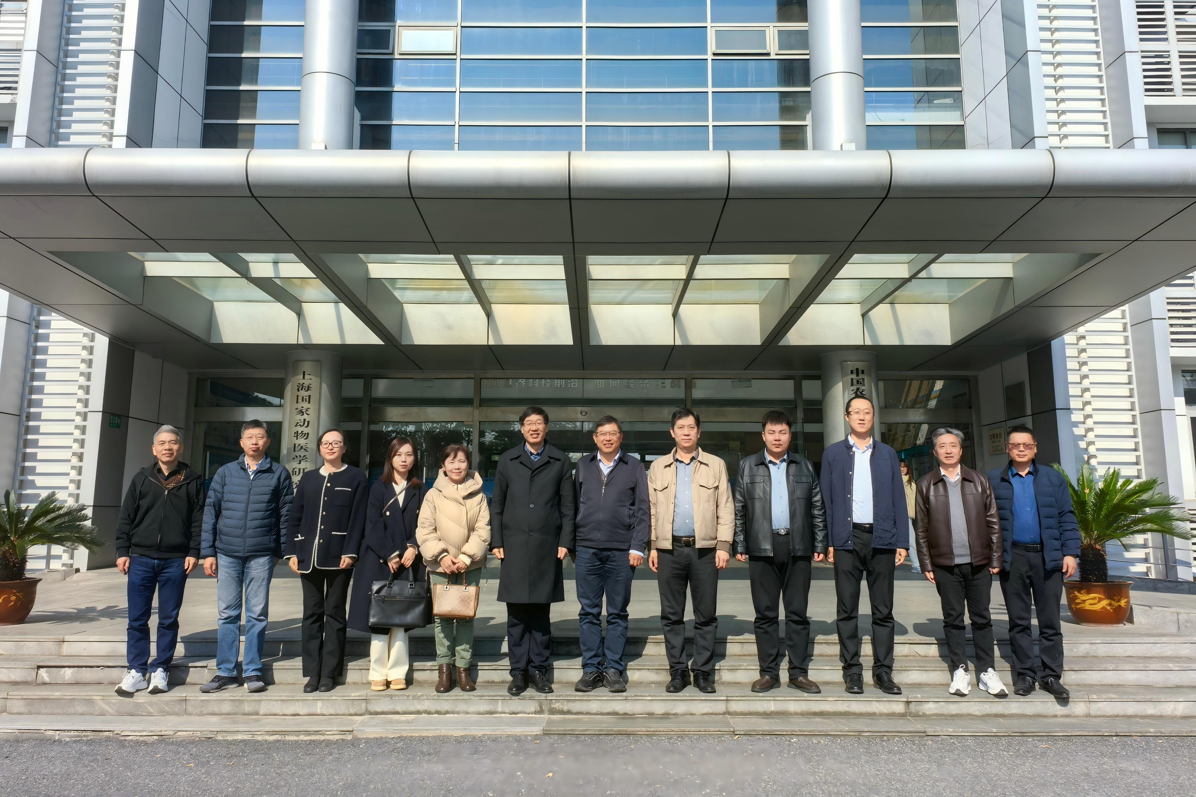 �齫������