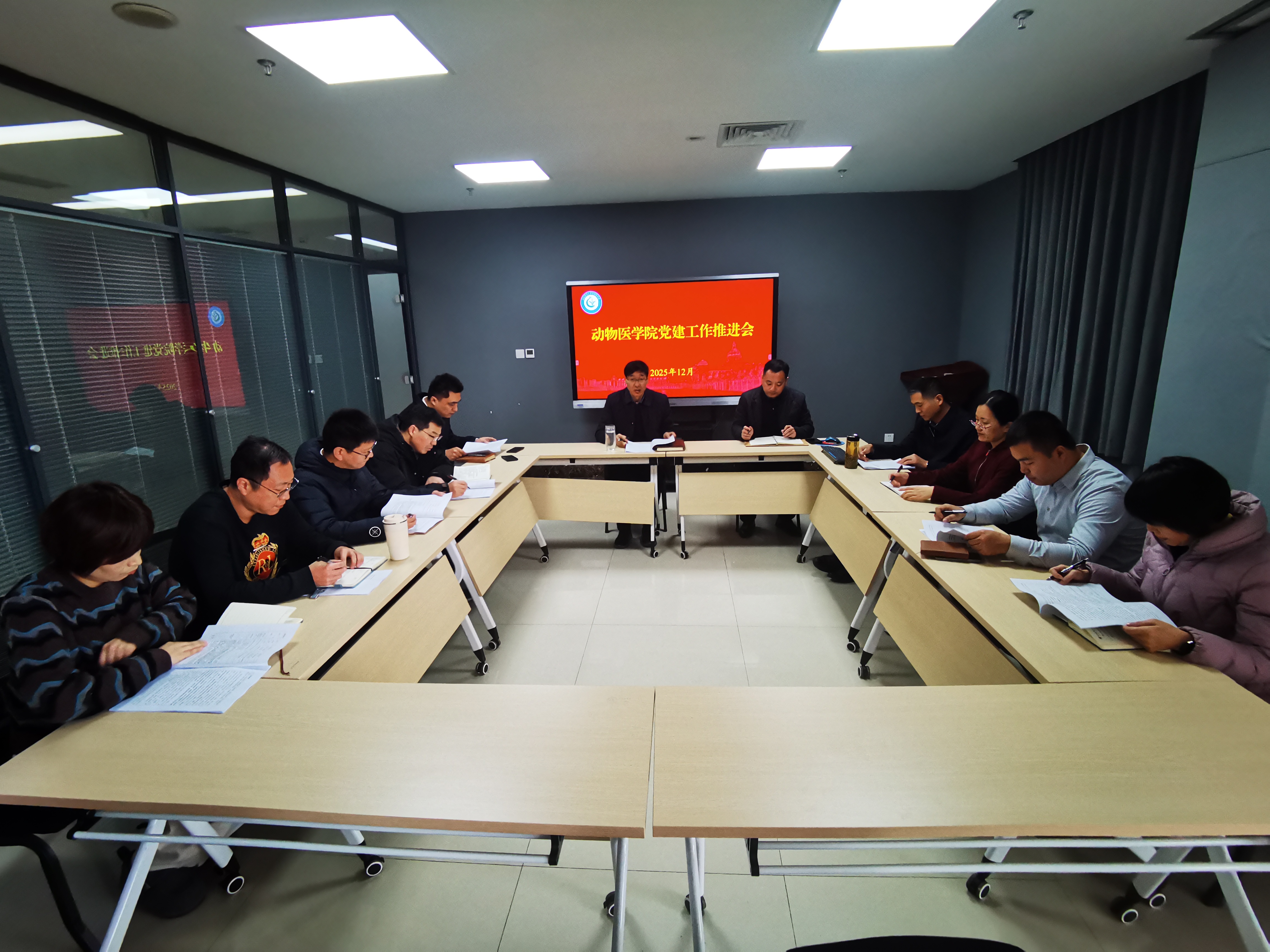 �齫������