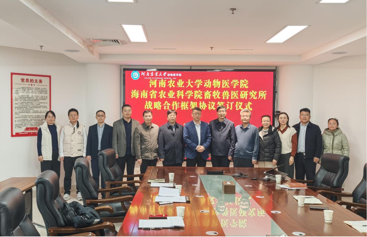 �齫������