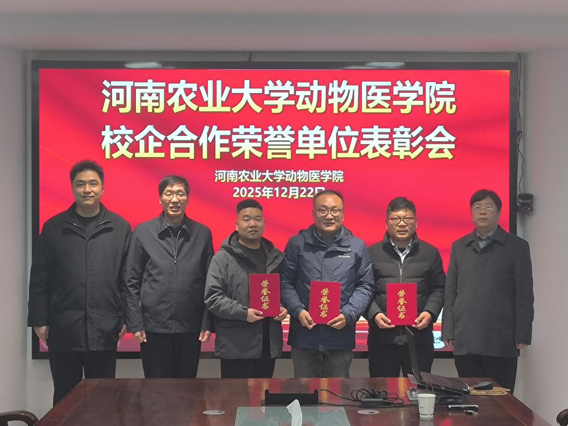 �齫������