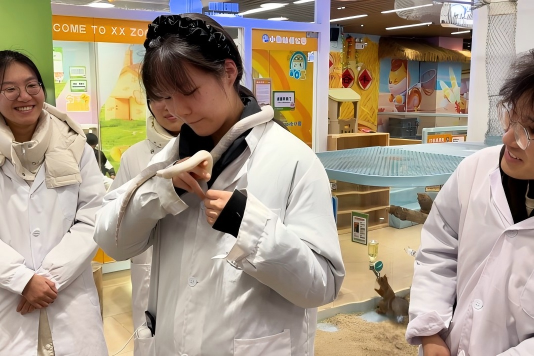 �齫������