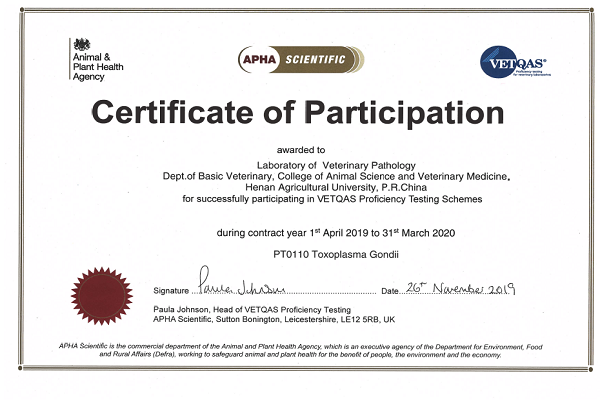 �齫������