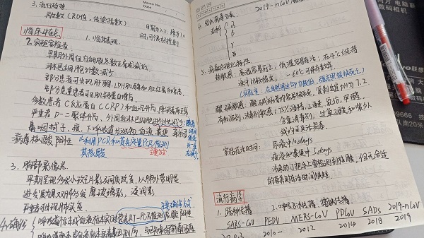 �齫������