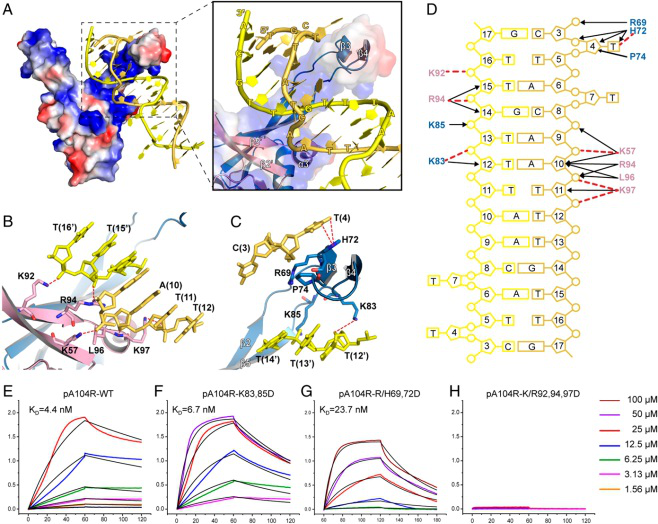 �齫������