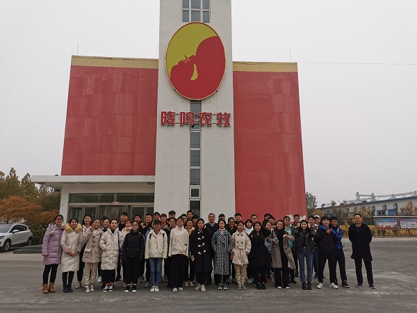 �齫������