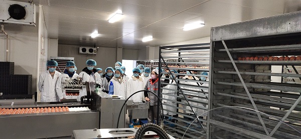 �齫������