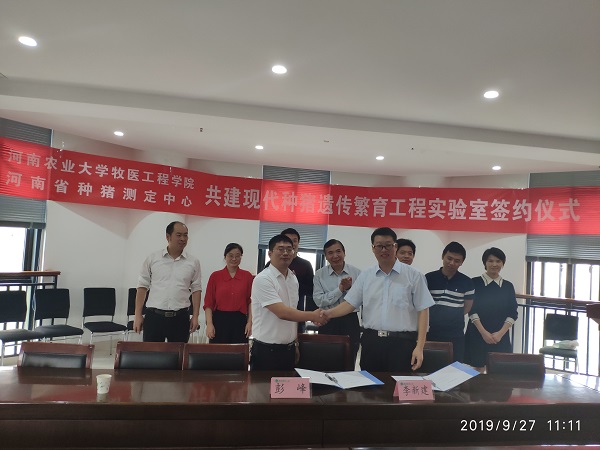 �齫������