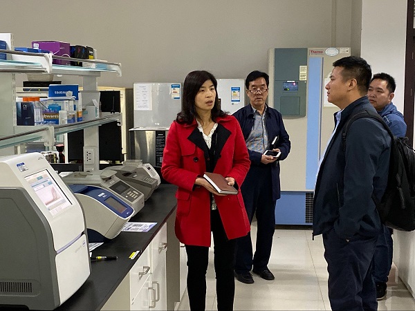 �齫������