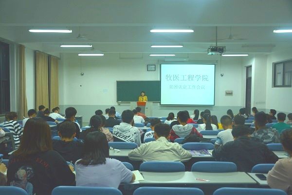 �齫������