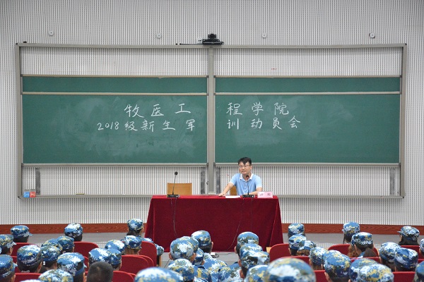 �齫������