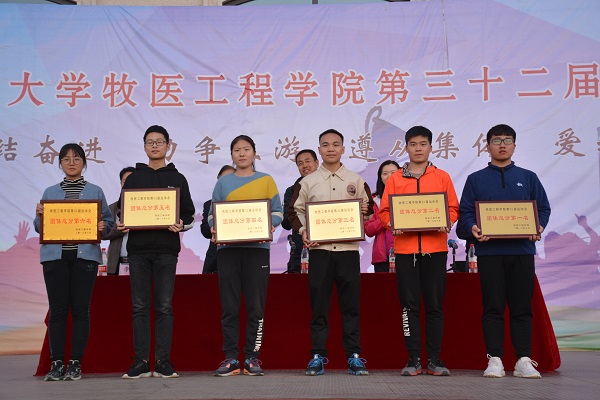 �齫������