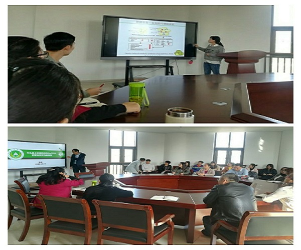 �齫������