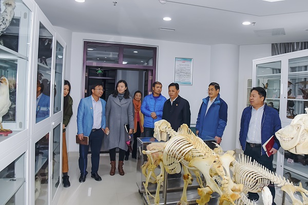 �齫������