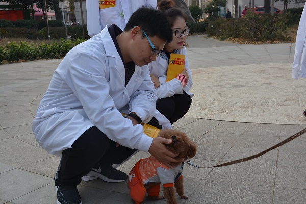 �齫������