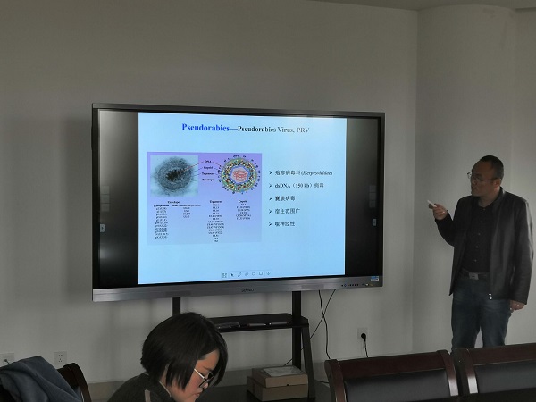 �齫������