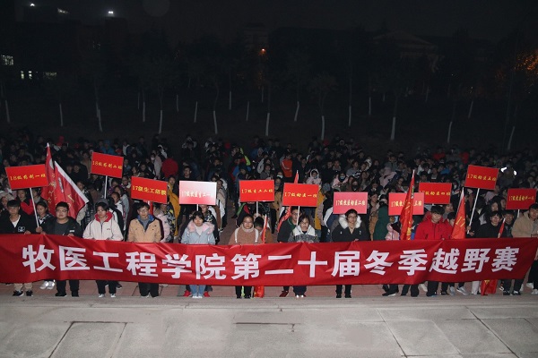 �齫������