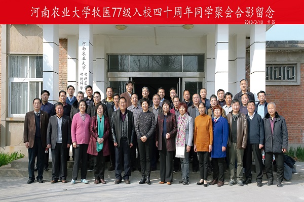 �齫������