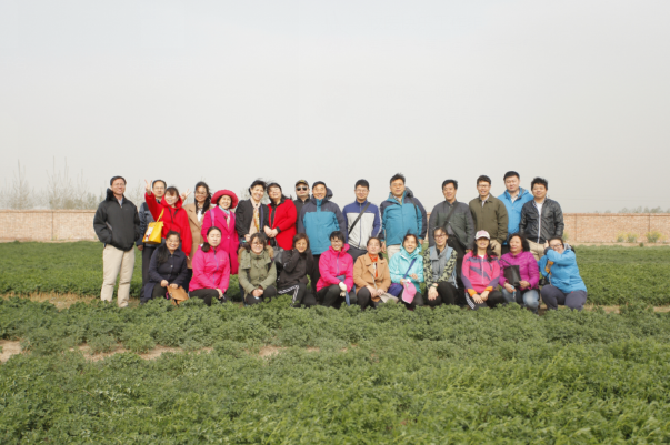 �齫������