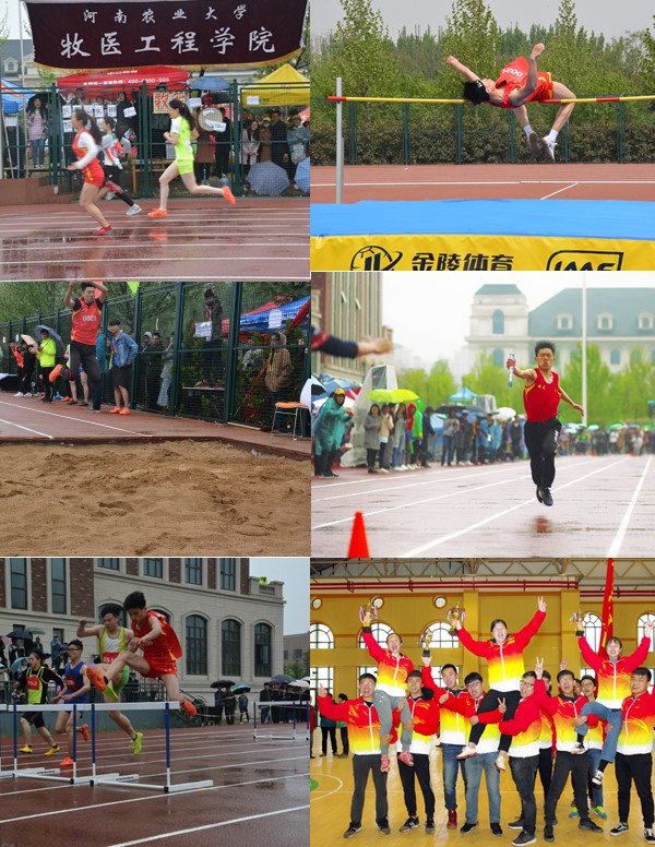 �齫������