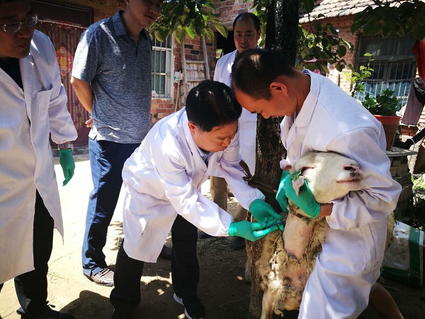 �齫������