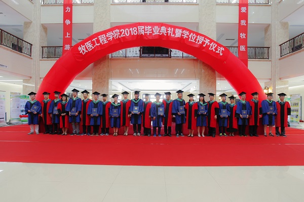 �齫������