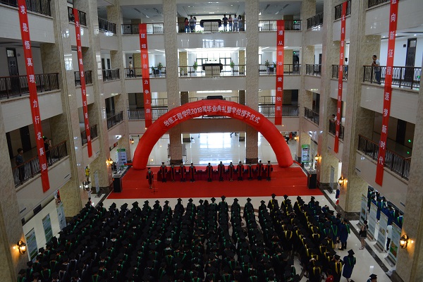 �齫������