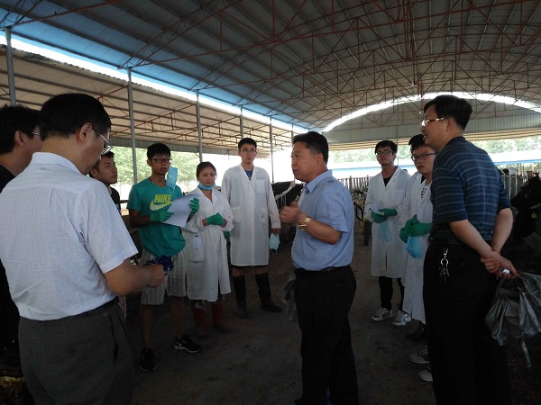 �齫������