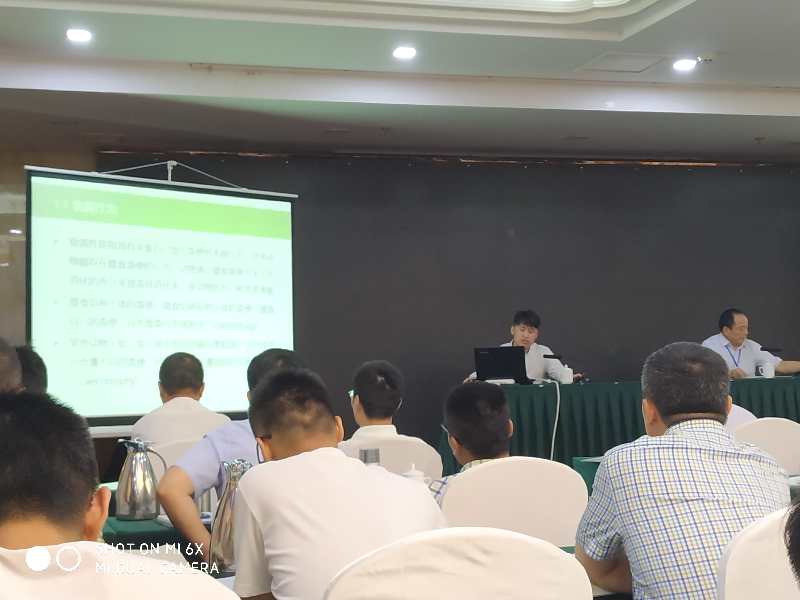 �齫������