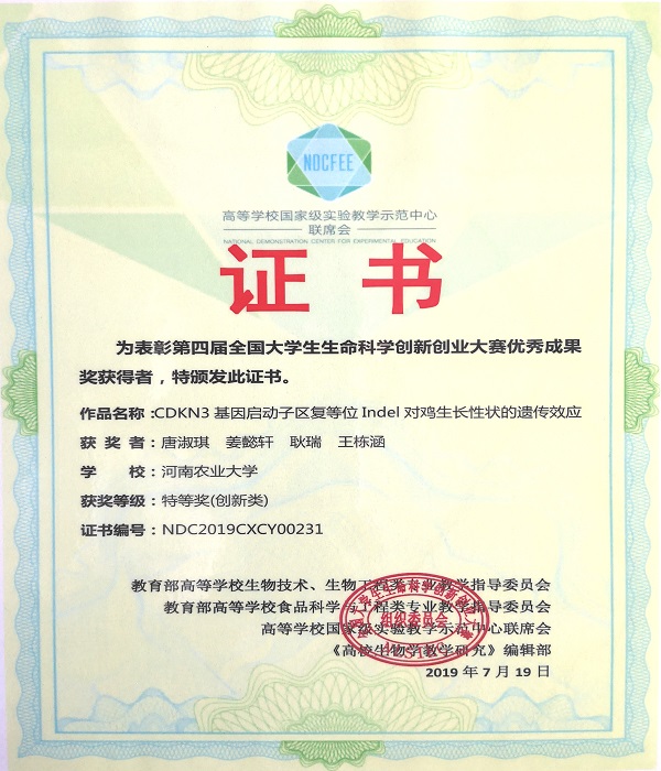 �齫������