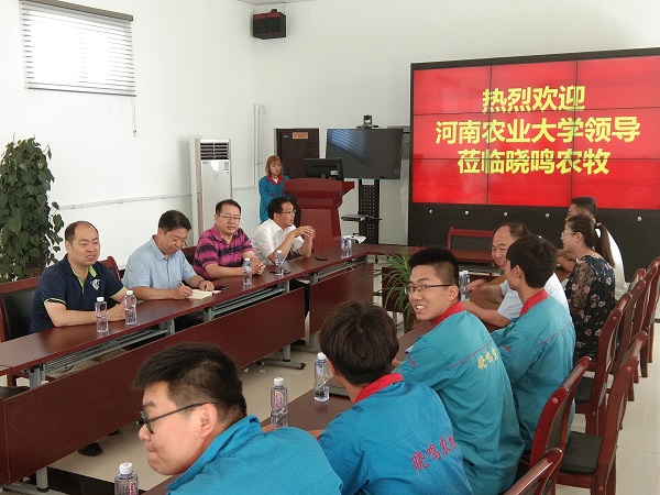 �齫������